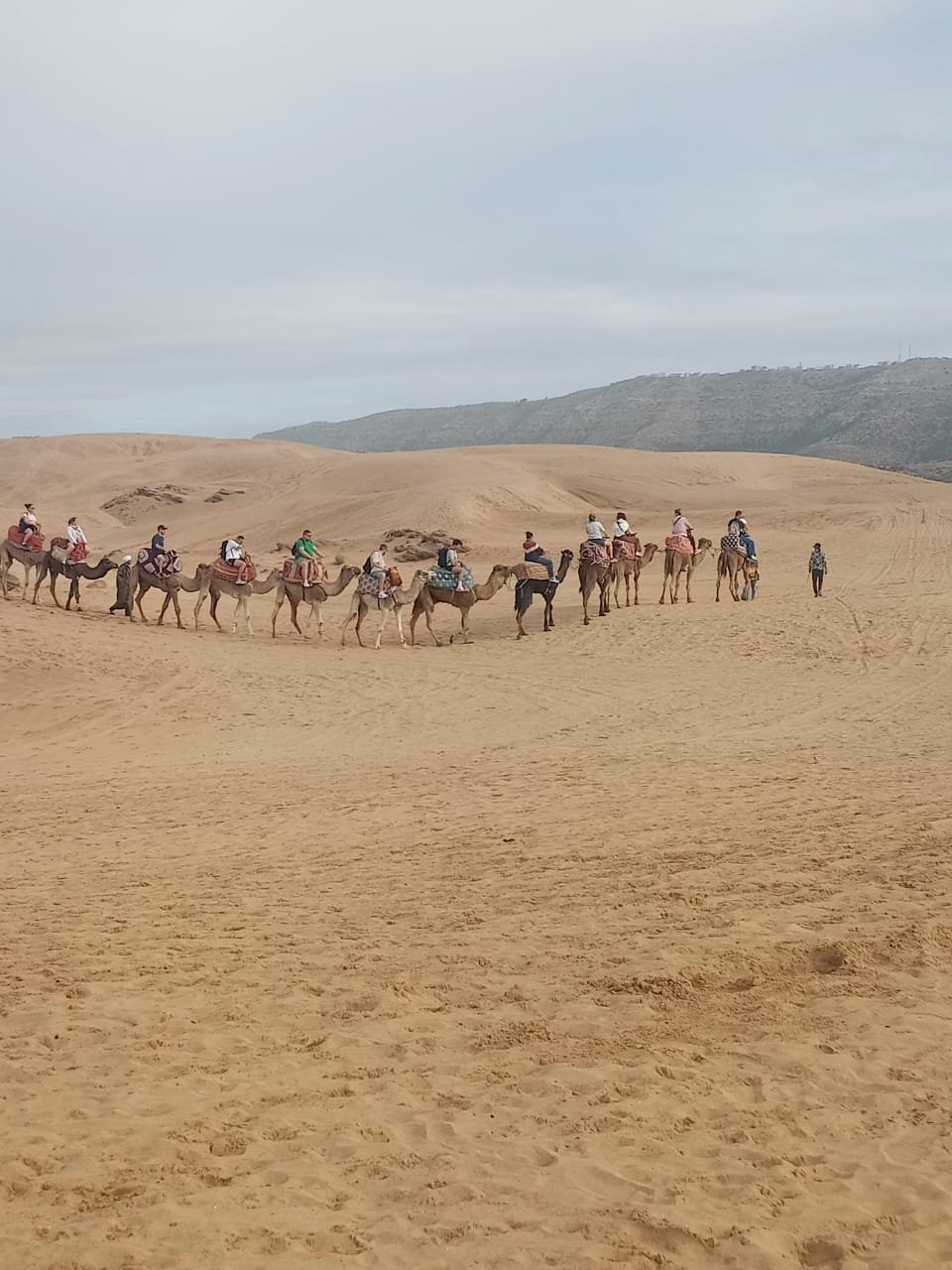 Balade en Dromadaire à Agadir