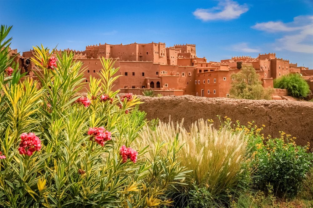 Grand Sud 4x4 - Zagora