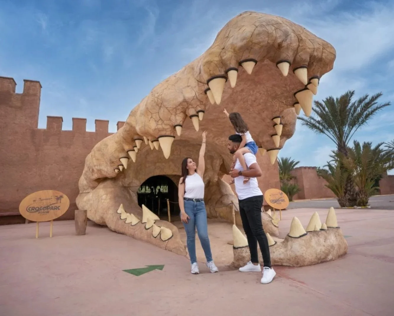 Visite ville & Crocopark agadir (1j)
