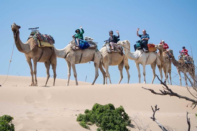 Excursion Petit Sahara